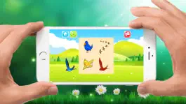 Game screenshot Birds of World Drag Drop and Match Shadow for kids mod apk