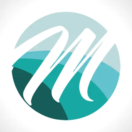 IPManancial Читы