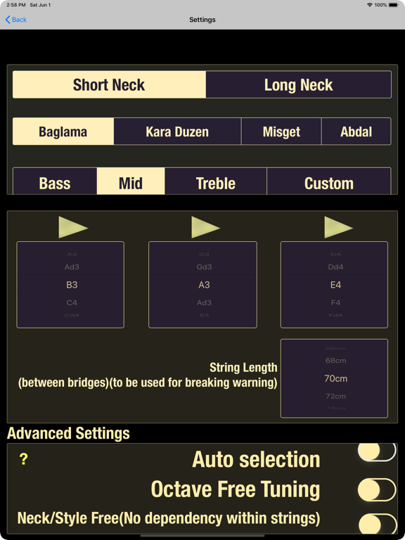 Dybos Baglama Tuner iPad screenshot 5 - Music app