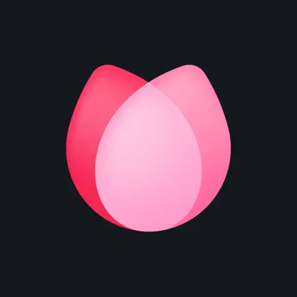 Rose: Dating & Relationships Читы