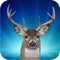 Play Deer Hunter Jungle Episode to get a way for bringing such a foreign experience to the comforts of your own room
