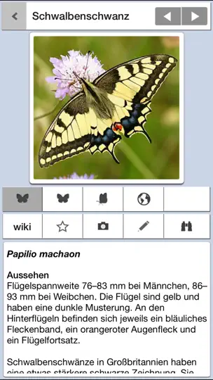 Screenshot von Schmetterlinge Bestimmen auf dem iPhone 1