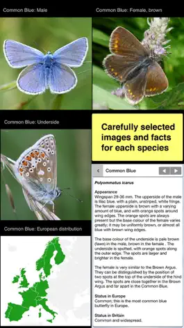 Game screenshot Butterfly Guide - Europe apk