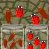Insects Sort Puzzle Game icon