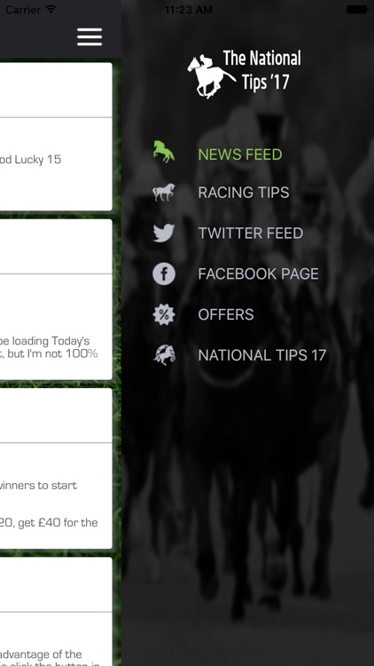 The National Tips 17