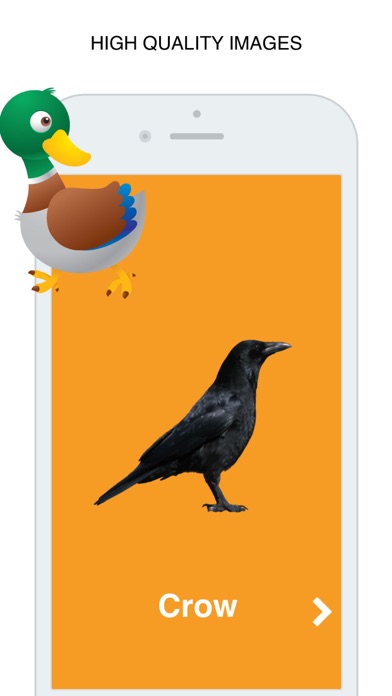 Birds Flashcard for babies and preschoolのおすすめ画像2