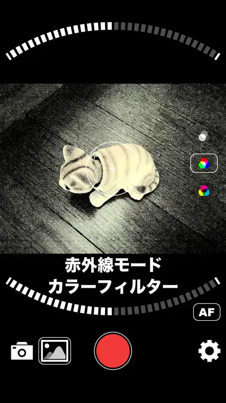 Live Photo Converter