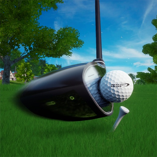パーフェクトスイング - ゴルフ