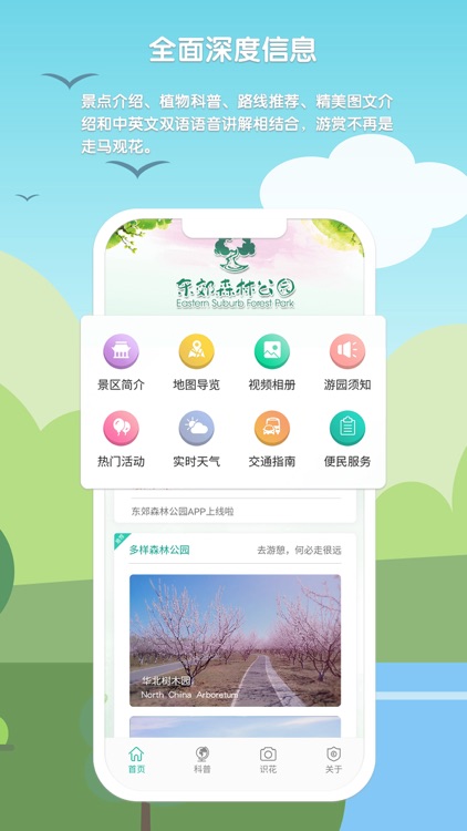 东郊森林公园