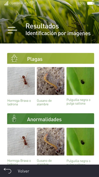 DK-Experto screenshot-3