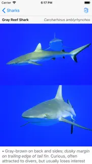 palmyra atoll nature guide iphone images 1