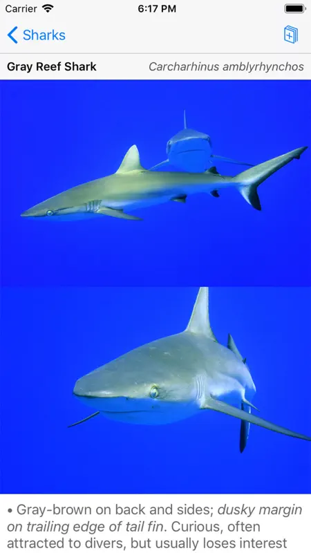 Palmyra Atoll Nature Guide screenshot 1 of 7