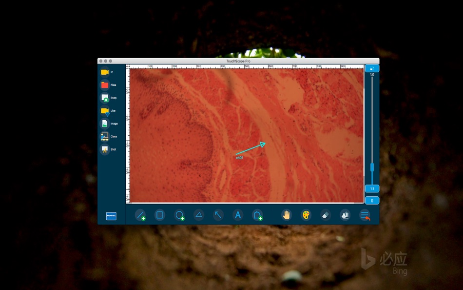 #2. TouchScopePro (macOS) 由: 驰 郑