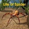 Life Of Spider