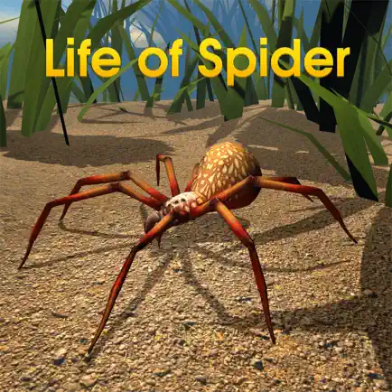 Life Of Spider Cheats