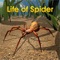 Life Of Spider