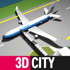 Activities of Airport 3D City