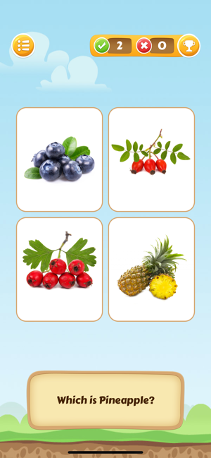 Fruits Vegetables(圖5)-速報App