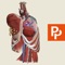 Primal's 3D Real-time Human Anatomy app for the Thorax is the ultimate 3D interactive anatomy viewer for all medical educators, practitioners and students