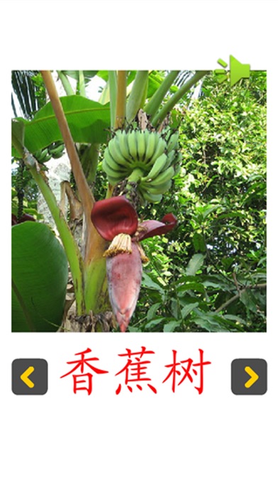Screenshot #1 pour 认知卡认识植物