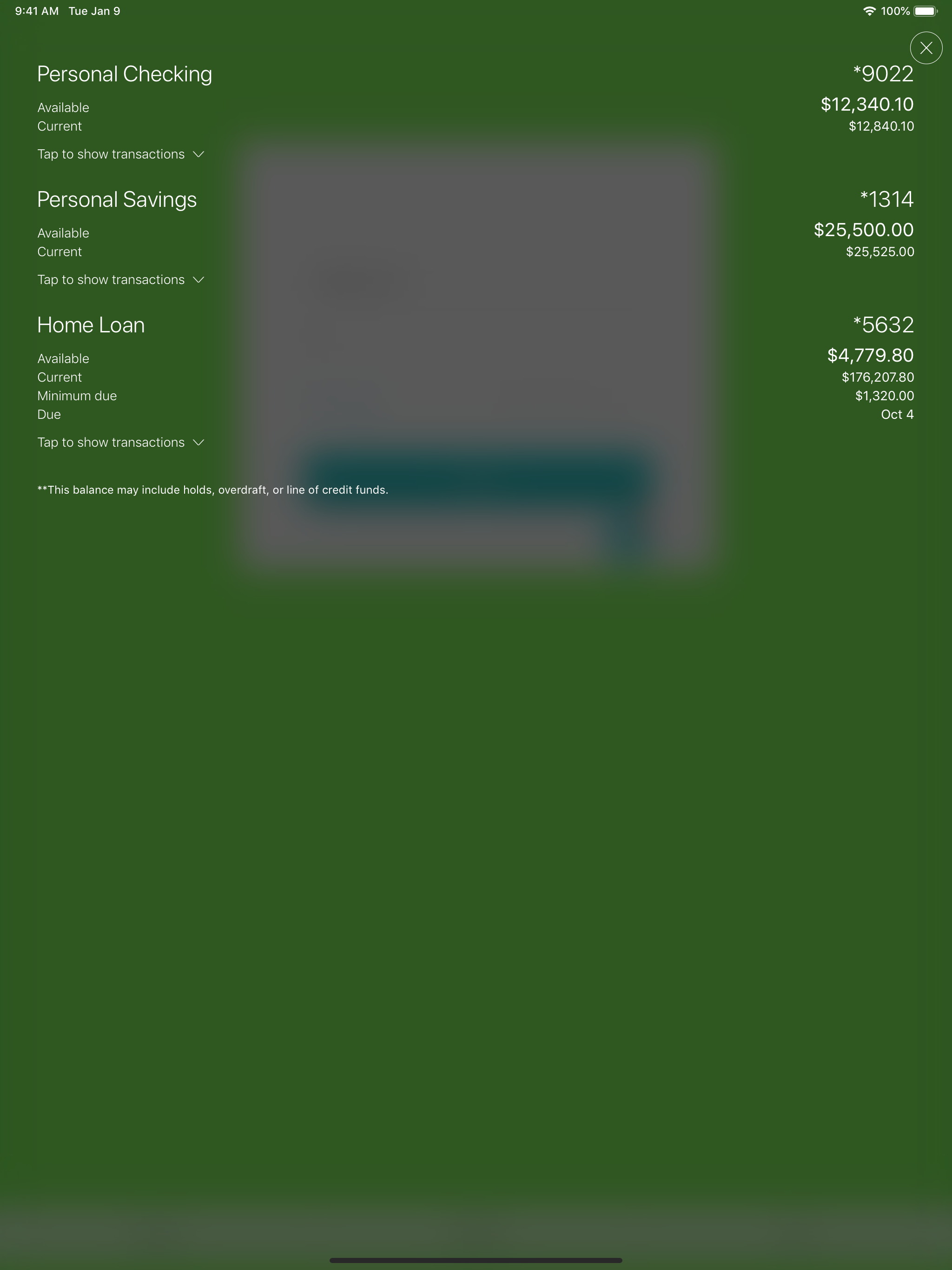 Vida FCU Mobile Banking screenshot 10