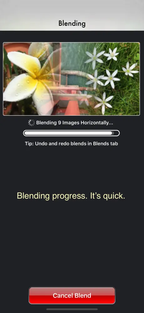 Photo Blender
