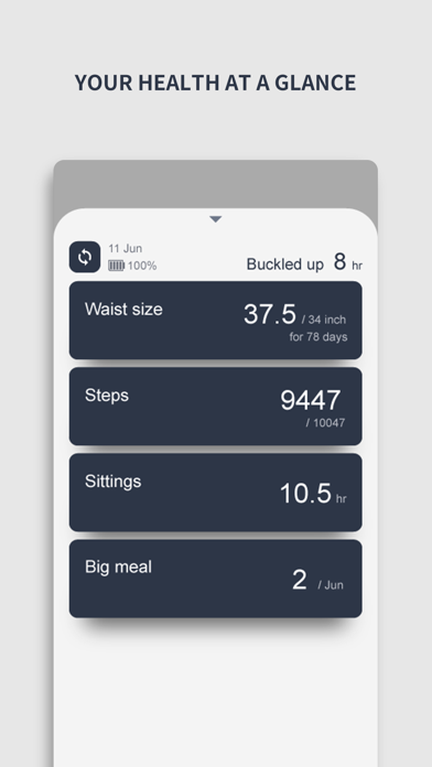 WELT Health Screenshot
