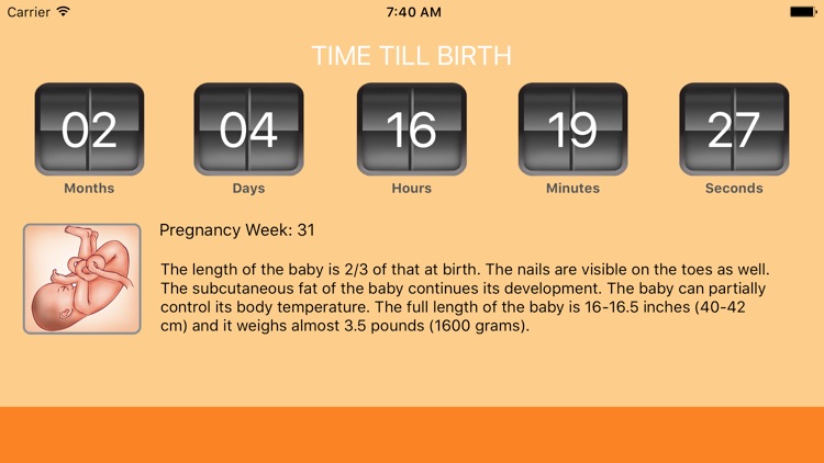 WomanLog Pregnancy Calendar screenshot-4