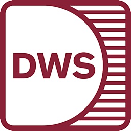 DWS Quiz