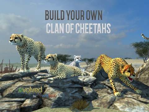 Clan Of Cheetahsのおすすめ画像1