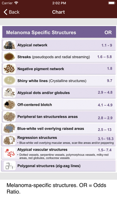 Dermoscopy Two Step Algorithm Screenshot