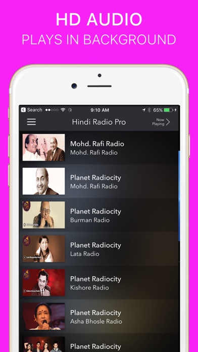 Hindi Radio Pro - India FM Screenshot