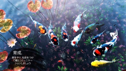 screenshot of My Koi 4