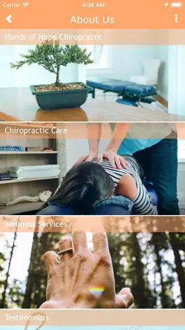 Game screenshot Hands of Hope Chiropractic apk