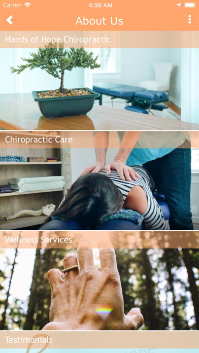 Hands of Hope Chiropractic screenshot 2