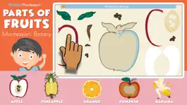 Game screenshot Montessori Parts of Fruits mod apk