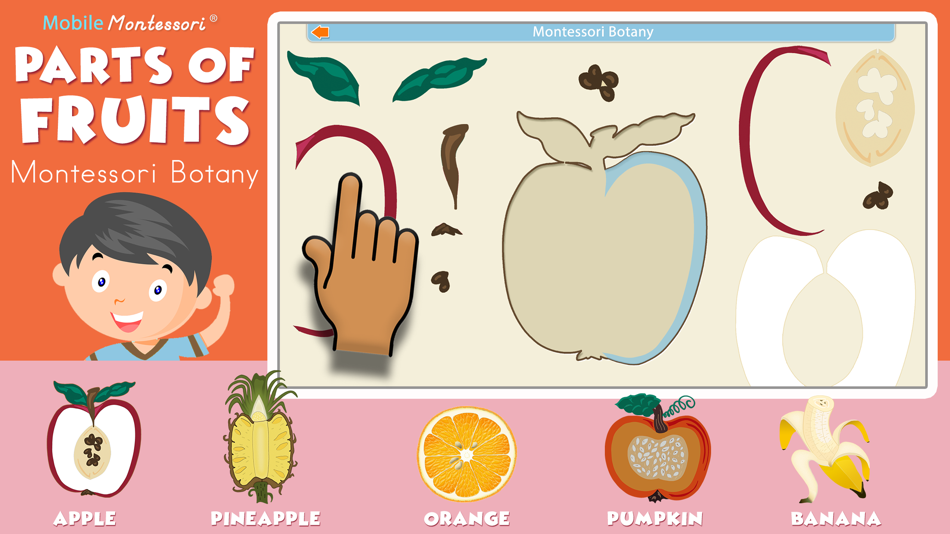 Montessori Parts of Fruits - 1.3 - (iOS)