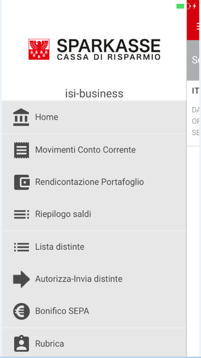 ISI-business Sparkasse Screenshot