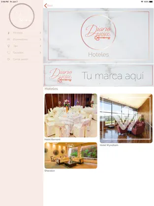 Image 3 Diario de Novias iphone