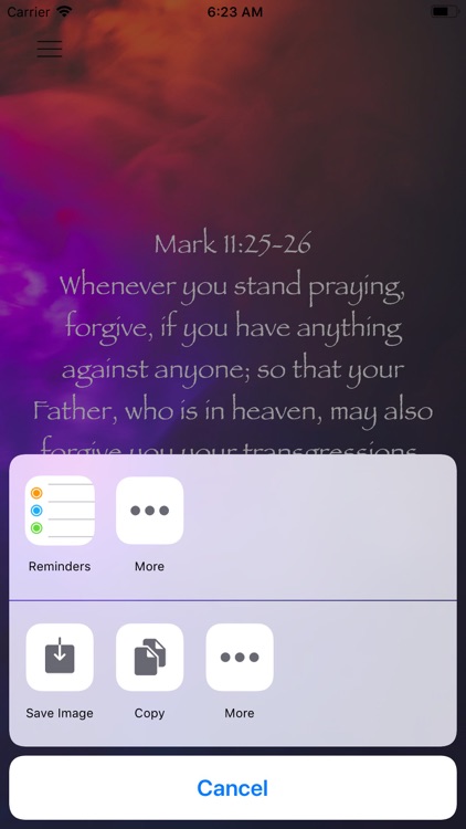 Daily Bible Affirmations screenshot-3