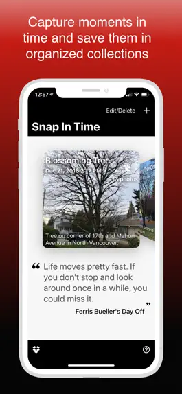 Game screenshot Snap In Time mod apk