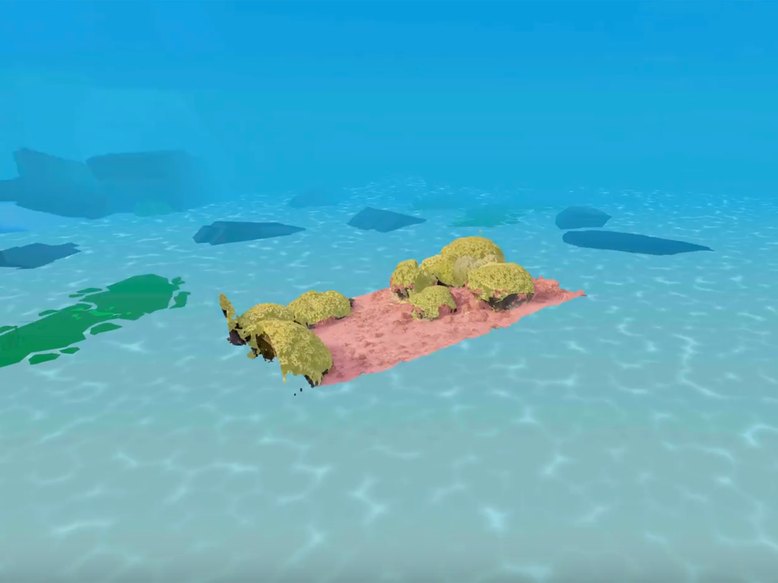 NASA NeMO-Net