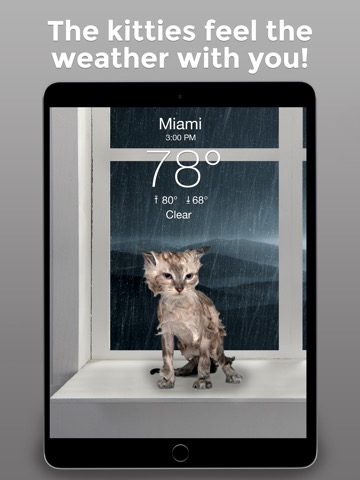 Weather Kitty: Weather + Radarのおすすめ画像3