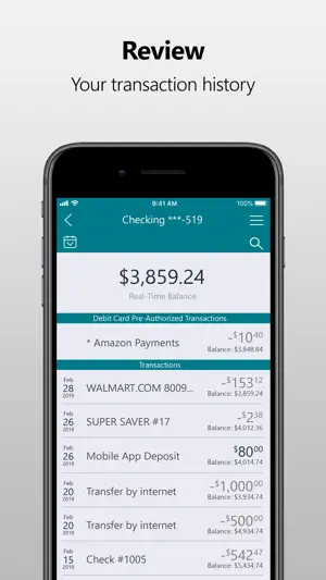 State Bank of Schaller screenshot 3