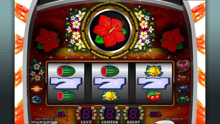 マイフラワー30 screenshot-5