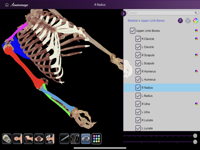 Anatomage Table Companion(圖3)-速報App