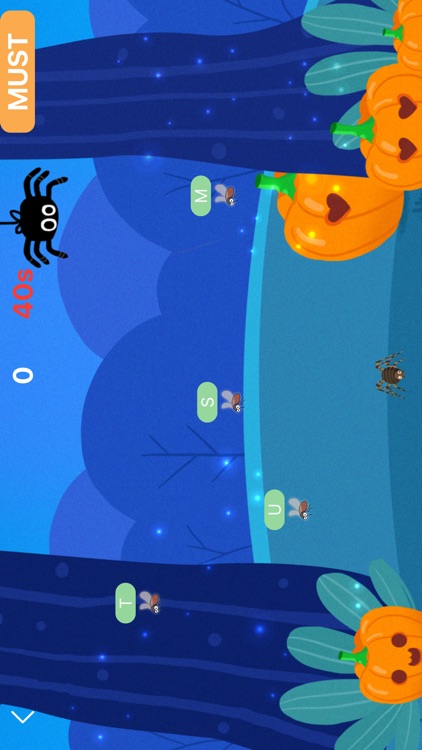 Industrious Little Spider