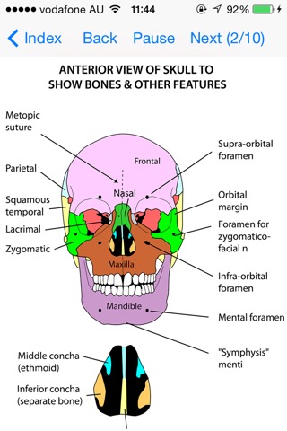 Instant Anatomy App Collectionのおすすめ画像4