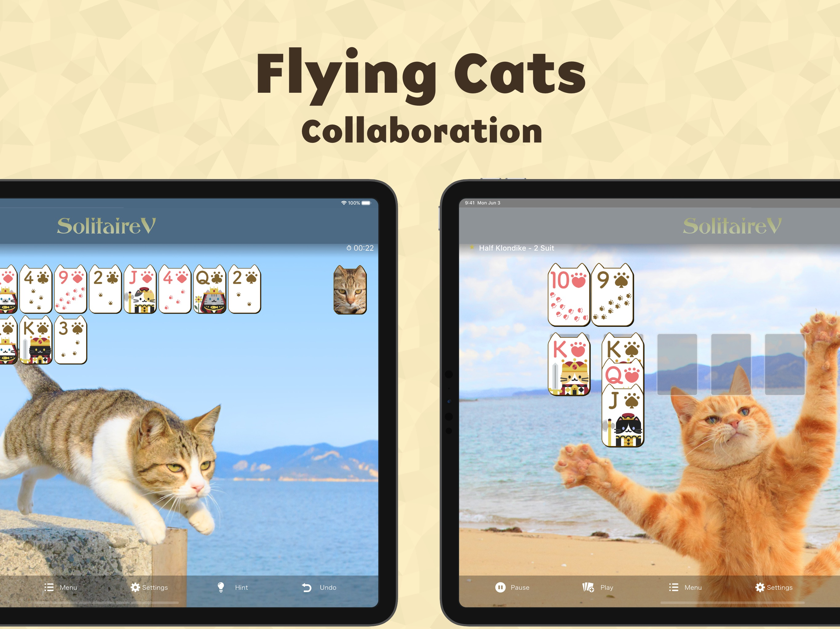 Solitaire Victory for iPad screenshot 2