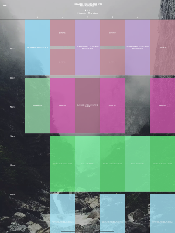 SiiAPP iPad screenshot 2 - Productivity app